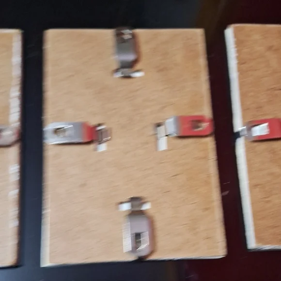 Vintage Botanical Art Trio | Signed BARSS | Pressed Leaf & Sketches - Picture 8 of 9